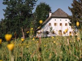 BAUERNHAUS DÖRFL IN DER STRASS, holiday home in Reindlmühl