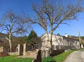 casa ferreirua