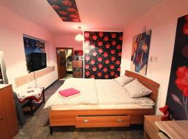 Hostel Pascalis Alesd, cheap hotel in Aleşd
