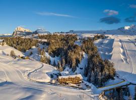 Hotel Seelaus, hotel in Alpe di Siusi