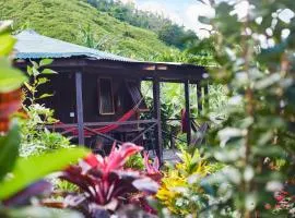 Hibiscus Valley Inn、Marigotのバンガロー