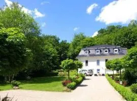 Weisses-Haus-am-Kurpark-Fewo-Waldblick