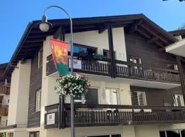 Central & Elegant Apartments,partially with Fireplace, by Zermatt Rental