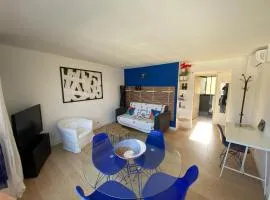 Blue Artist Flat