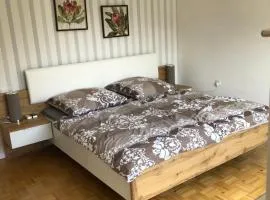 Gästehaus Alm-Blick