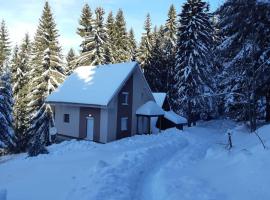 Studio MK, villa in Kopaonik