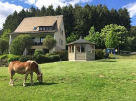 Landhaus Mettenberg, vikendica u gradu Niedersalwey