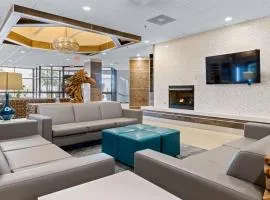 Holiday Inn Johnson City by IHG