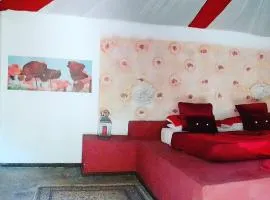 Gecko Nature Lodge Home of Swahili Divers the BEST dive center and Famous Gecko Restaurant