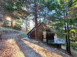 VILA PAVLOVIC, vila v destinaci Kopaonik