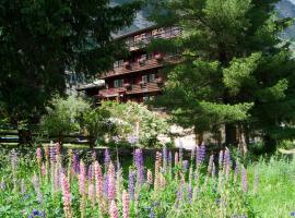 Hotel Alpina, hotel in Zermatt