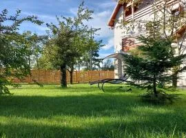 Modern mountain village chalet in Carpathians