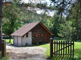 Cosy chalet with river, hotel din Saint-Quirin