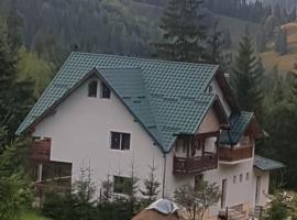 Pensiunea Gură de Rai, Pojorâta, guesthouse kohteessa Pojorîta