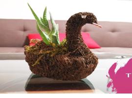 푸에르토 바야르타에 위치한 호텔 Tropicus 04 (Romantic Zone) Suite Room with Kitchen and Balcony