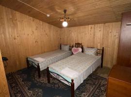 Наталі, Hotel in Turka