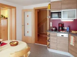 Apartment near Zell am See Kaprun