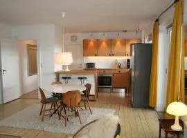 Copenhagen large Penthouse Apartment