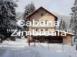 CABANA ZIMBROAIA 8 camere -Muntii Bârgăului, Transilvania