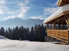 Superior Chalet Brandleit