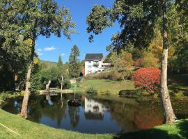 Appartements Maison Bellevue, holiday home in Munster