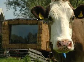 Gast op stal nabij Leeuwarden