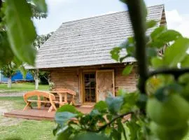 ETNO house