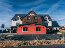 Penzion Zita, pet-friendly hotel in Boží Dar