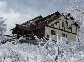 Funky Monkey Lodge, Myoko ファンキーモンキーロッジ 妙高, hotel u gradu 'Myoko'