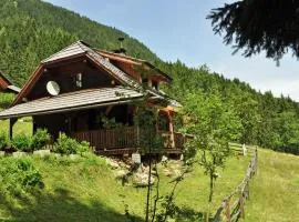 Chalet in Kolbnitz near Ski Slopes