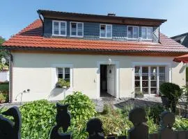 Comfortable holiday home in Saxony with terrace