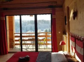 Le Jura en toutes saisons Piscine, SPA, location VTT, balades 2cv, climatisation