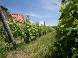 Agriturismo La Burlanda, hotel v mestu Fosdinovo