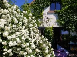 chambre d'hôtes de charme, un temps en forêt