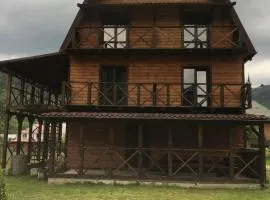 Рукавичка