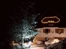 APARTMENT CHALET -BOHINJ- Pokljuka- Triglav National Park