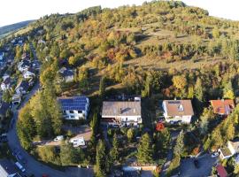 'Tor zum Schwarzwald' Ferienwohnungen mit Sauna