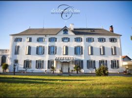 Le Château d'Orleix, goedkoop hotel in Orleix