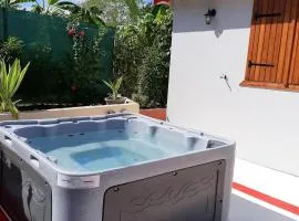 Maison de 2 chambres avec vue sur la mer jacuzzi et jardin clos a Petit Canal a 8 km de la plage