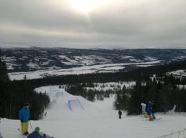 &Aring;re-Bj&oslash;rnen Falken 17A, Unterkunft mit Onsen in &Aring;re