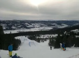 Åre-Bjørnen Falken 17A