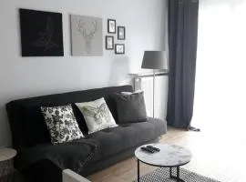 Lux Apartment close to Medicover and Paley