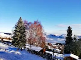 WeiXL Schi&Bike Appartements-Bike in&Bike out neben Wexl Trails Bikepark