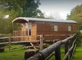 Charmant studio à Villers Sur Mer - 20 m² avec balcon jardin,