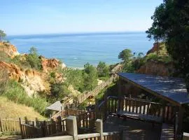 Welcoming apartment in Albufeira 80 m² with shared pool