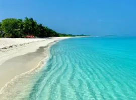 وادهي إن فاشافارو