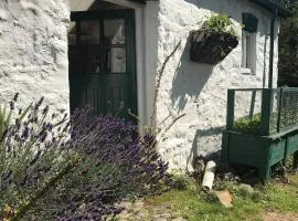 Hapus Yurt - Two Beautiful Yurts and Barn Cottage