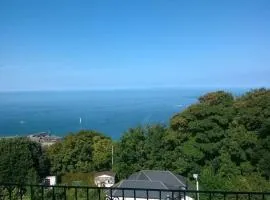 Verity and Ilfracombe Harbour View