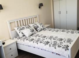 Swan City Apartment, hotel di Gulbene