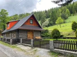 Originalna Drevenica Jezersko 43